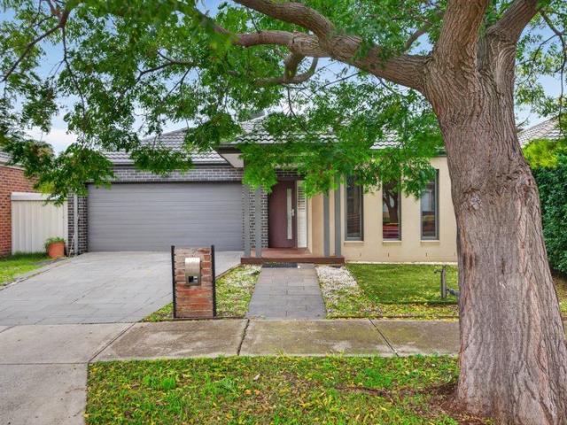 Where Space Meets Style The Perfect Family Home Awaits