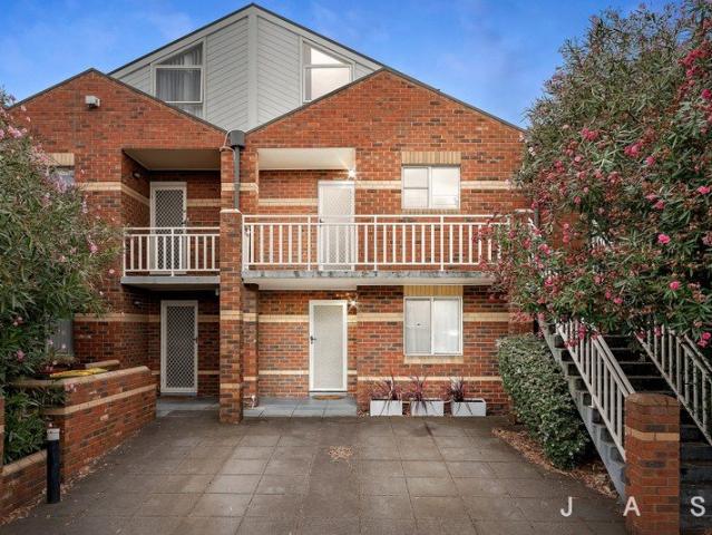 Where Style Meets Seddon's Village Lifestyle