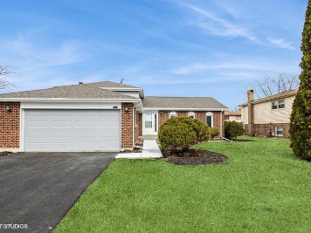 White Birch Ln