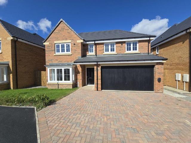 Whitebeam Road, Fenwick Park. 5 bed detached house to rent £1,400 pcm £323 pw