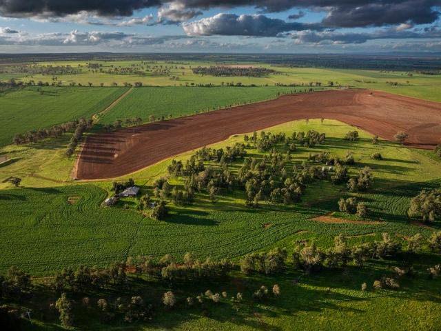 'Whitefield' Productive Mixed Farming with Established Canola Crop