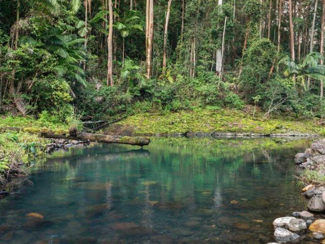 WHIPBIRD GULLY | A private wilderness of extraordinary beauty