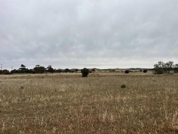 Whyte Yarcowie, Goyder, South Australia, South Australia