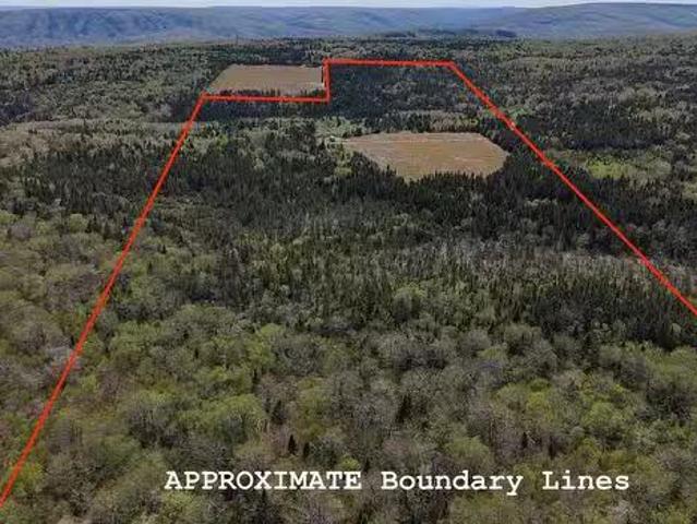 Whycocomagh Mountain Rd, Whycocomagh, NS, B0E 3M0 vacant lan.
