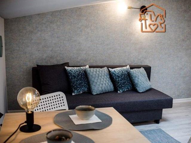 Więckowskiego 40, Polesie, studio pet friendly Łódź