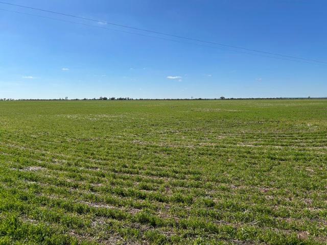 Wimmera Cropping Land