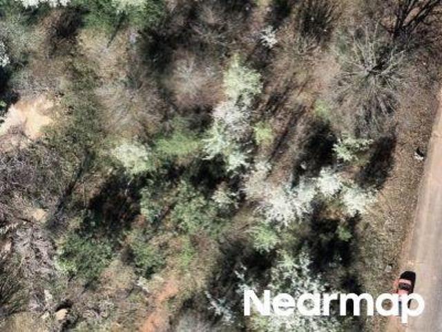 Winter Green Ln