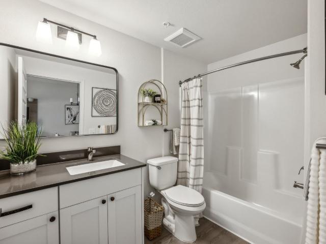 Wintergreen Apartments Studio Apartment for Rent at 10800 Golf Course Rd Nw, Albuquerque, NM 87114 Paradise Terrace