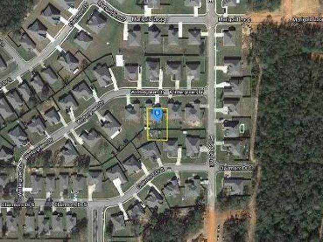 Wintergreen Dr