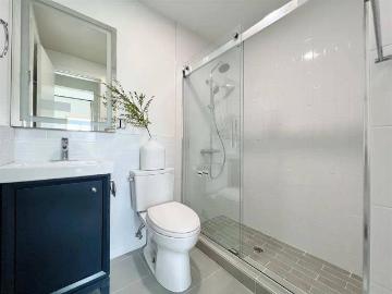 Flatbush, New York city, New York, USA