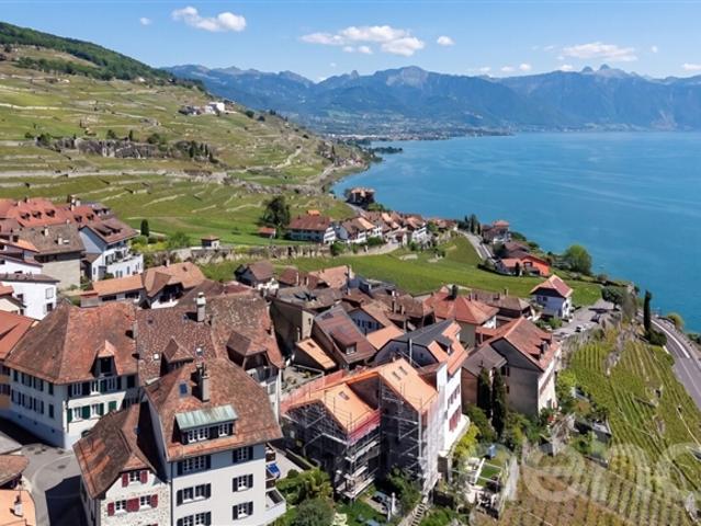 Winzerhaus aus dem siebzehnten Jahrhundert Renoviert Blick auf den See und die Alpen im Herzen von Rivaz