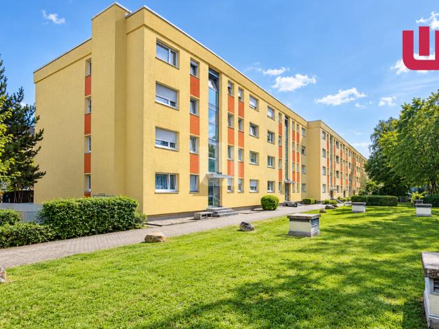 WINDISCH Attraktive Kapitalanlage: Vermietete 1,5 Zimmer Wohnung in gepflegter Anlage