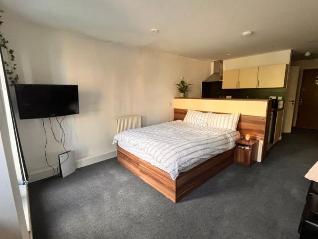 Windsor Castle Studio Flat with Balcony