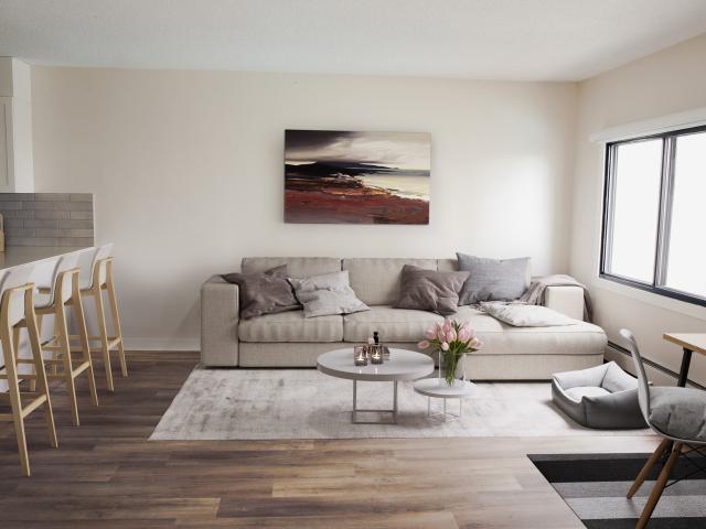 Windsor Park Plaza Small 2 Bedroom Apartment Apartment for Rent