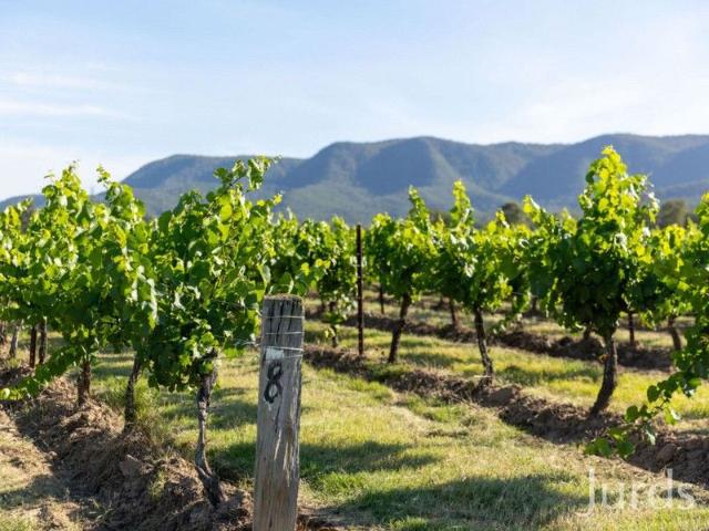 Wine Country Royalty