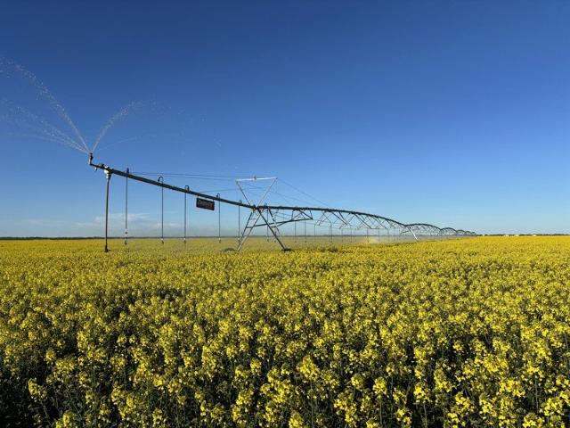 An Institutional Scale Irrigated and Dryland Cropping Enterprise 4,856 hectares / 11,999 acres