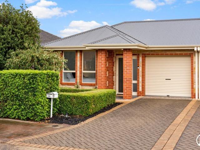 Winner in Warradale