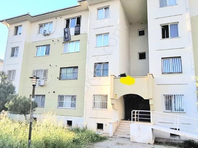 Winstownavmyanı fiyat Düştüfırst fulleşyalı sosyaltoki1.kat 1+1