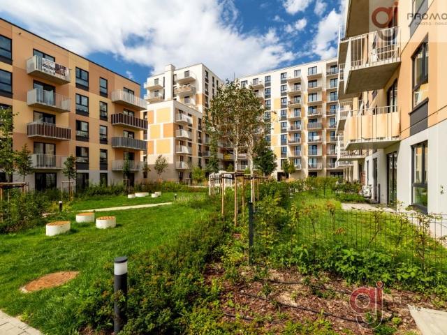 Widzewska 45 m², Łódź