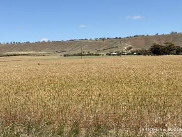 Robertstown, Goyder, South Australia, South Australia