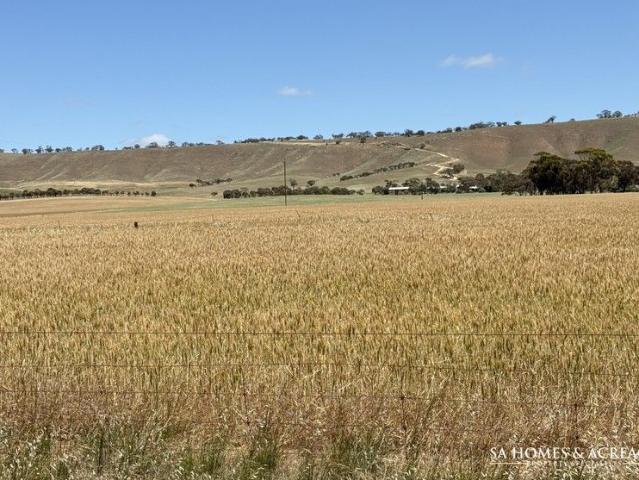 Wide Open Spaces and Picturesque Views!