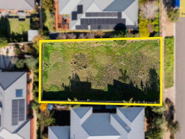 Wide Frontage, Endless Possibilities