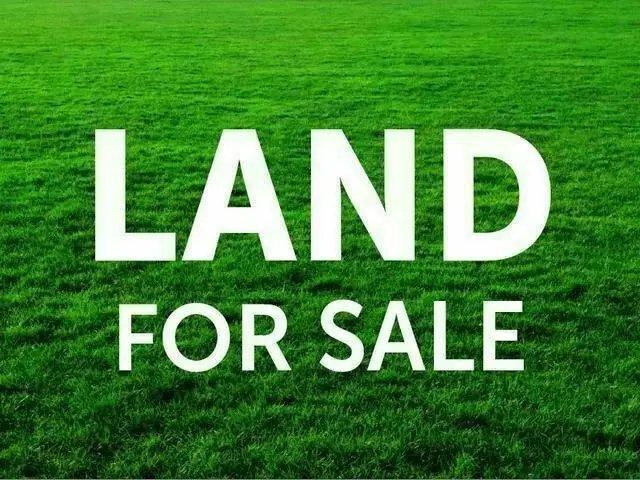 Wide 12m Frontage on a Spacious 300sqm Lot !