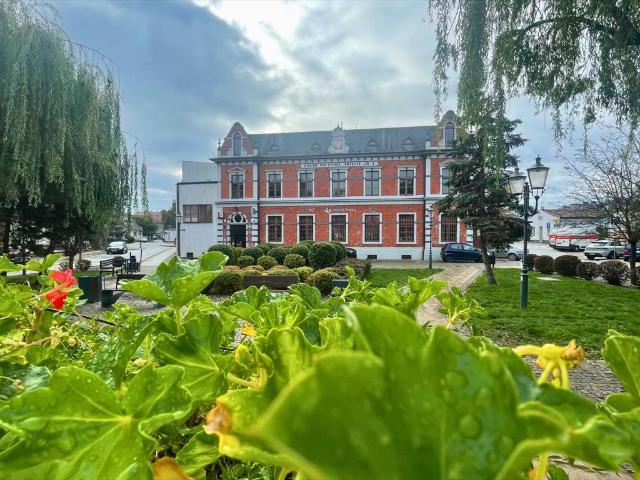 Biuro na wynajem w centrum Świecia, 80,82 m² z historią