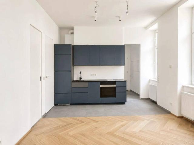 WIEDEN ZWISCHEN HAUPTBAHNHOF&INNENSTADT: Hübsche, neu sanierte 1,5 Zimmer Altbauwohnung