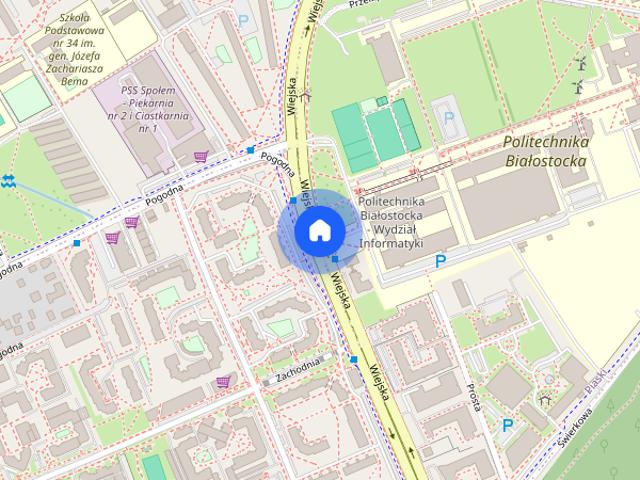 Wiejska 68, Nowe Miasto, kawalerka pet friendly