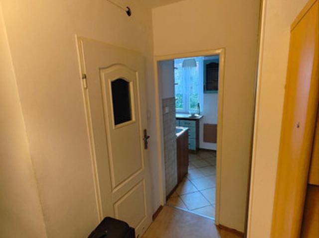 Wielkopolskie, Poznań, Sołacz, Nad Potokiem