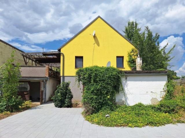 Wien Nähe in absoluter Ruhelage: 'Dornröschenschloss' auf großem Grund mit Scheune, Garage, Weinkeller, Lagerräumen und einigen Nebengebäuden