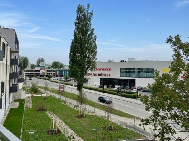 Wohnung Wiener Neustadt Wiener Neustadt 102472467