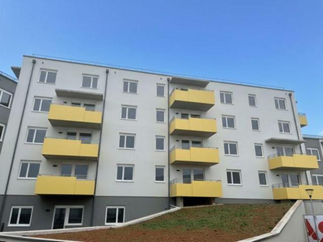 Wohnung Wiener Neustadt Wiener Neustadt 102242316