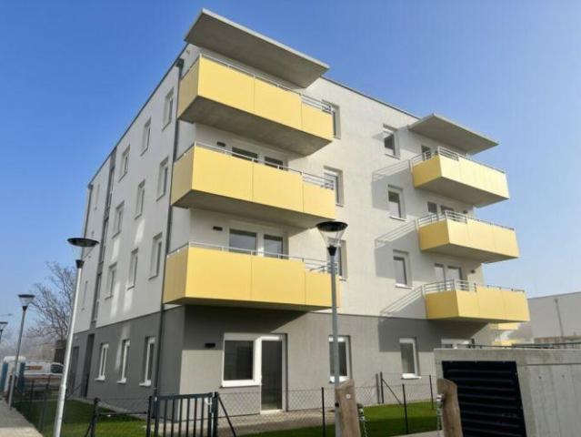 Wohnung Wiener Neustadt Wiener Neustadt 102242321