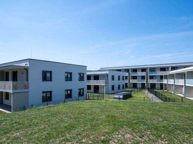 WIENER NEUSTADT XI/1, freifinanzierte Mietwohnung mit Kaufoption, 1.OG, Top 208, 1000/00011961/00001208