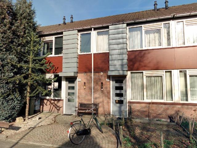 Wijsthoek 506