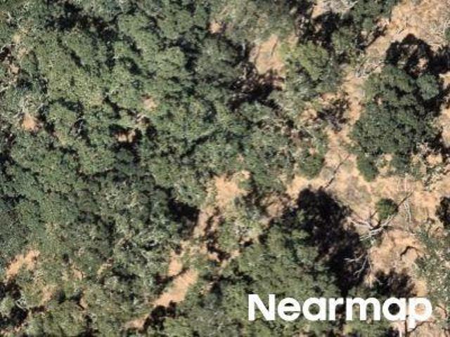 Wikiup Dr