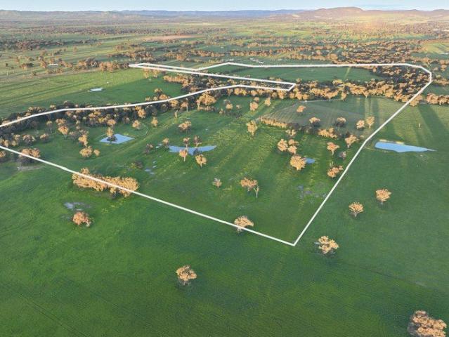 'Wilungah' A Quintessential Rural Lifestyle Holding