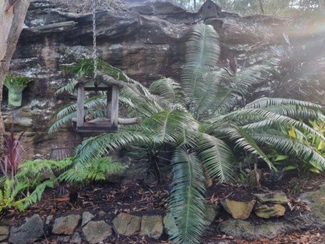 Wild Animal Lovers Bush Hideaway