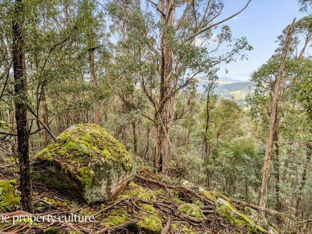 Wild Tasmanian Escape