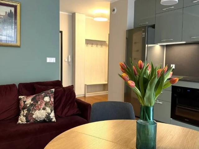 Wilda, ul. Fabryczna 14, 2 pokoje, balkon 48.5 m²