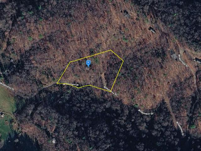 Wilderness Dr