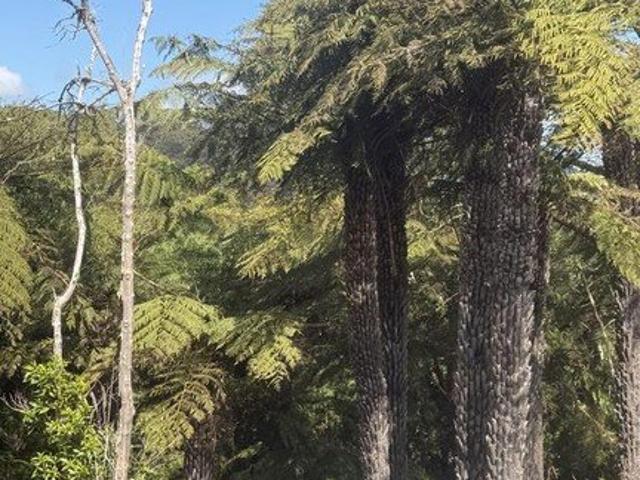 Wilderness worthy of preservation
