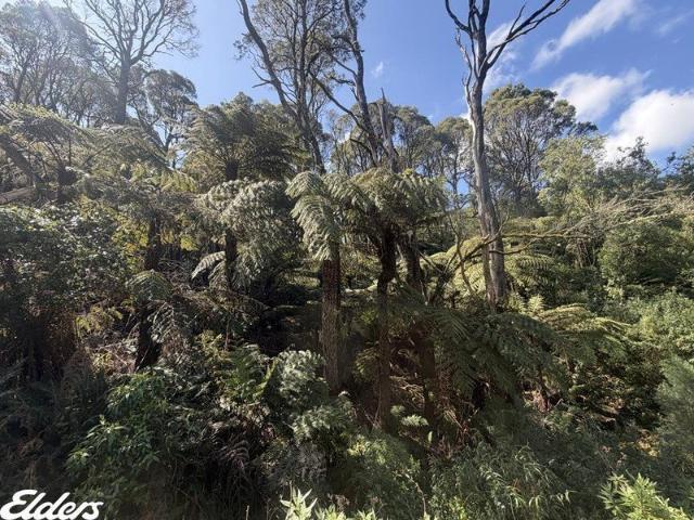 WILDERNESS WORTHY OF PRESERVATION