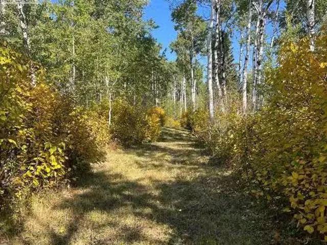 Wildlife Acres, Mervin Rm No.499, SK, S0M 1J0 farm for sale.