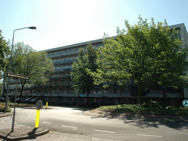 Wilhelminastraat 95