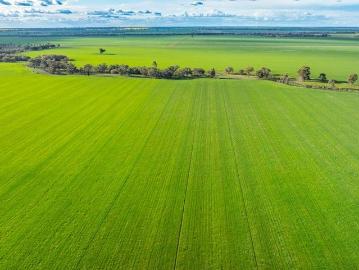 Willara Aggregation Premium Mixed Farming Opportunity in Bidgeemia, NSW