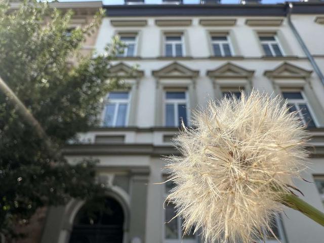 Willkommen in der Schillerstraße! Top 2 Raum Wohnung mit Balkon.