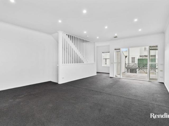 Willis Street Wonder